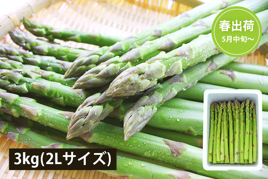 山形の極太アスパラガス