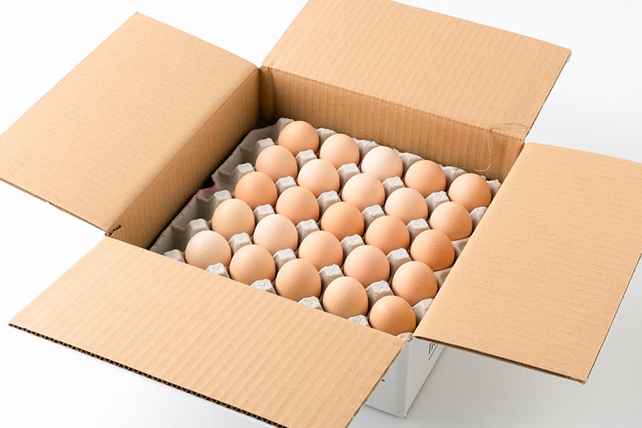 半澤鶏卵／純国産鶏種いではのさくら 白