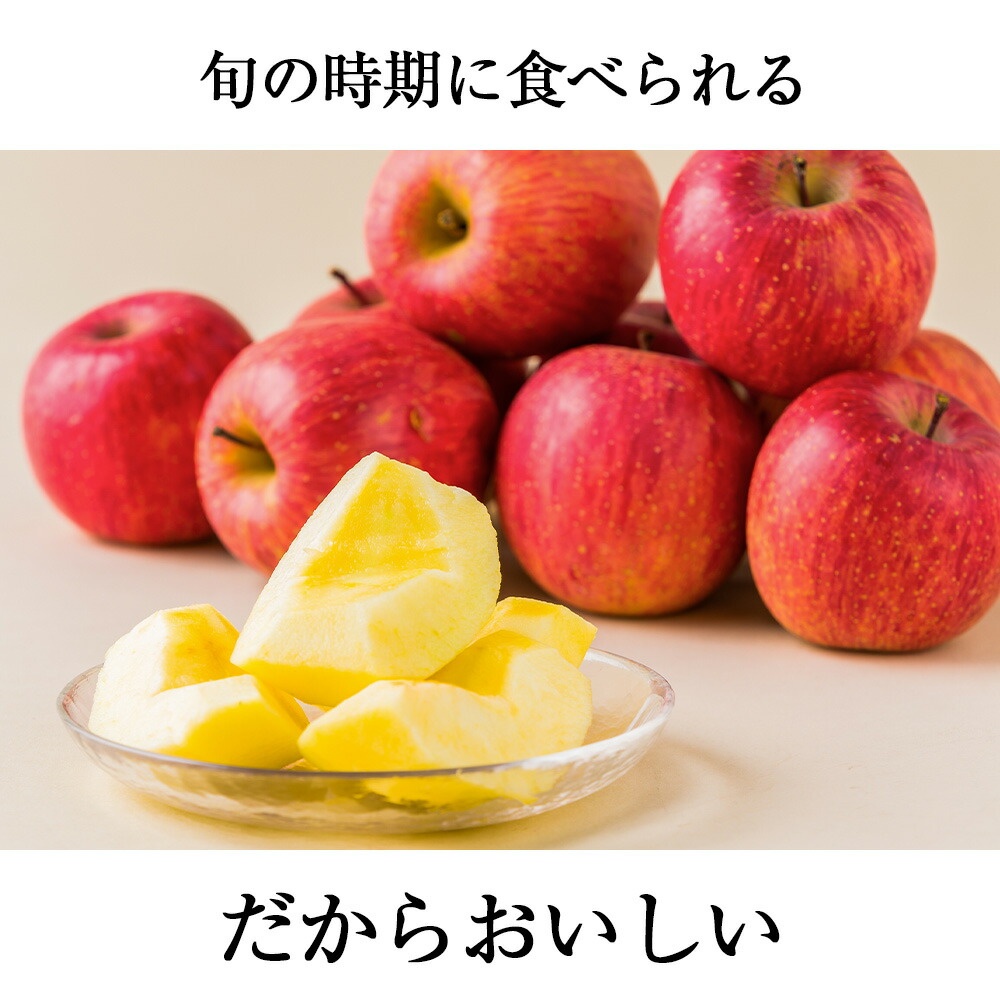 2025年完売】2026年9月頃〜予約開始予定|《訳あり》山形のふじりんご約