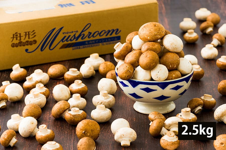 舟形マッシュルーム