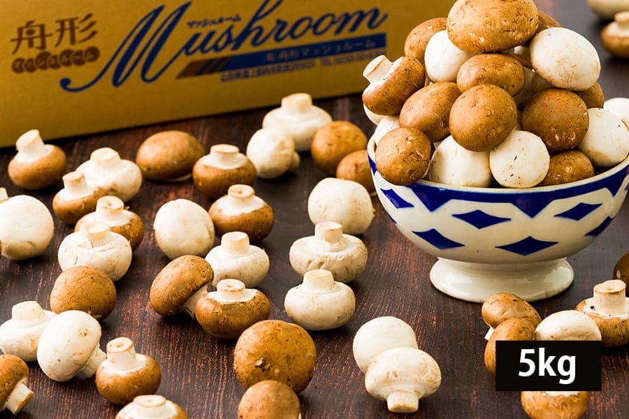 舟形マッシュルーム