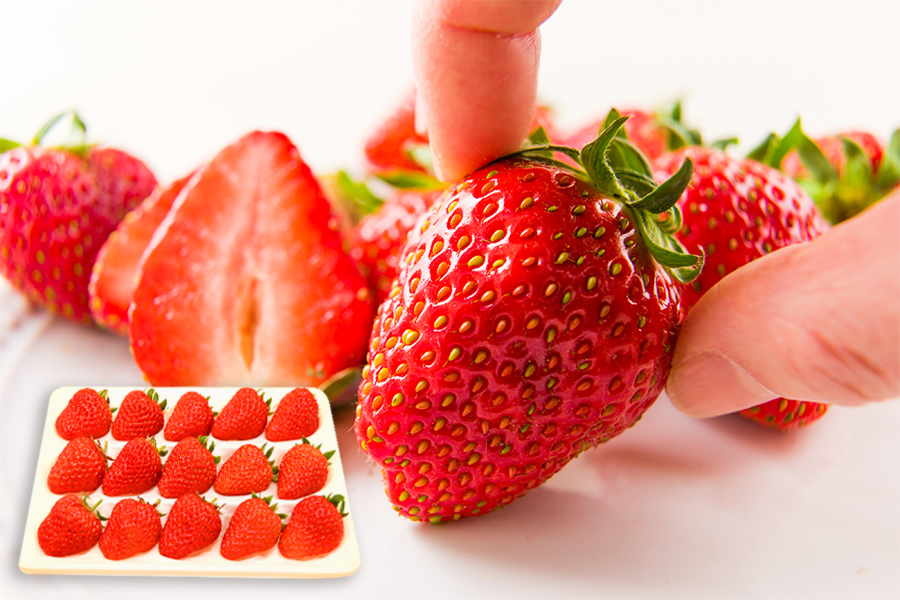  朝摘みいちご15粒入