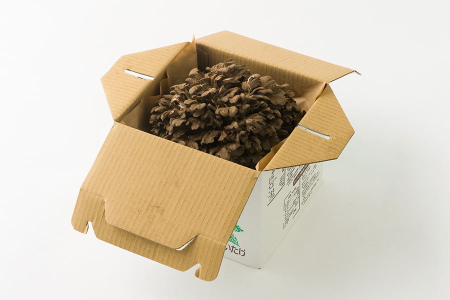 最上まいたけ/コクうま舞茸