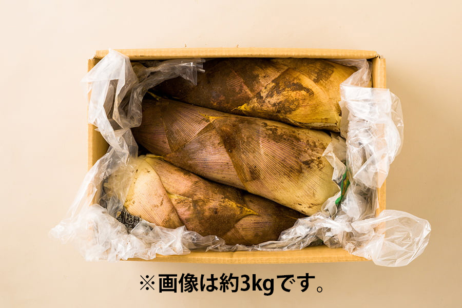 山形の朝堀りたけのこ(谷定孟宗)約5kg