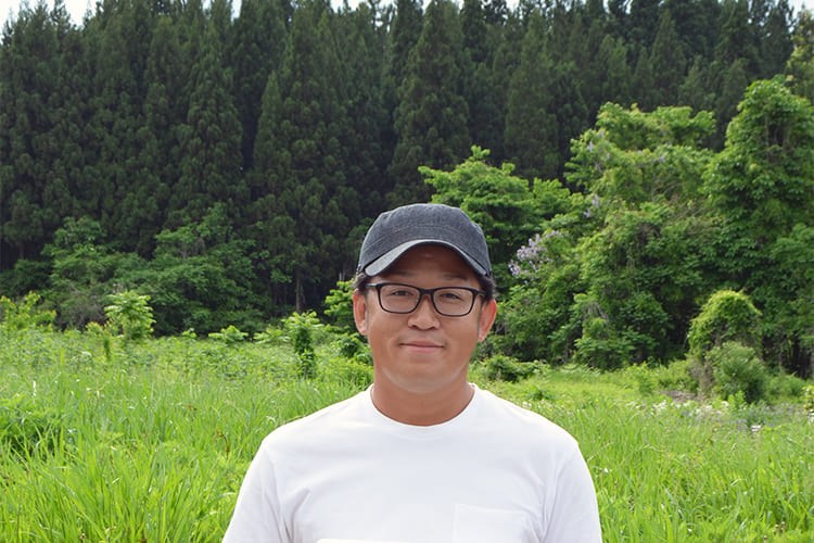 《訳あり》山形のすいか羅皇(らおう)