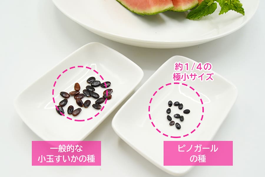 アグリカルチャー市蔵（旧：菅藤農園）の小玉すいかピノガール