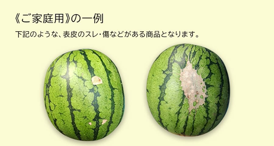 《ご家庭用》アグリカルチャー市蔵（旧：菅藤農園）の小玉すいかピノガール