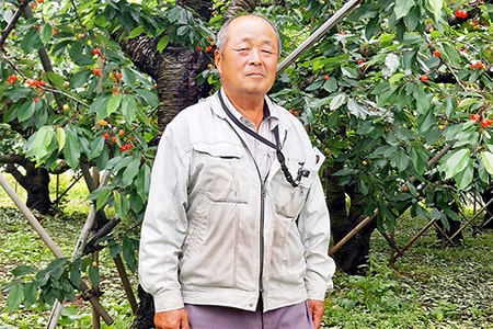 厳選さくらんぼ佐藤錦