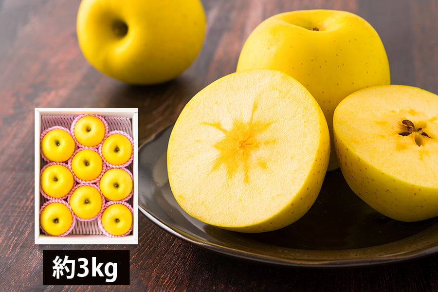 2025年完売】2026年10月頃〜予約開始予定|朝日町の蜜入りりんご はるか