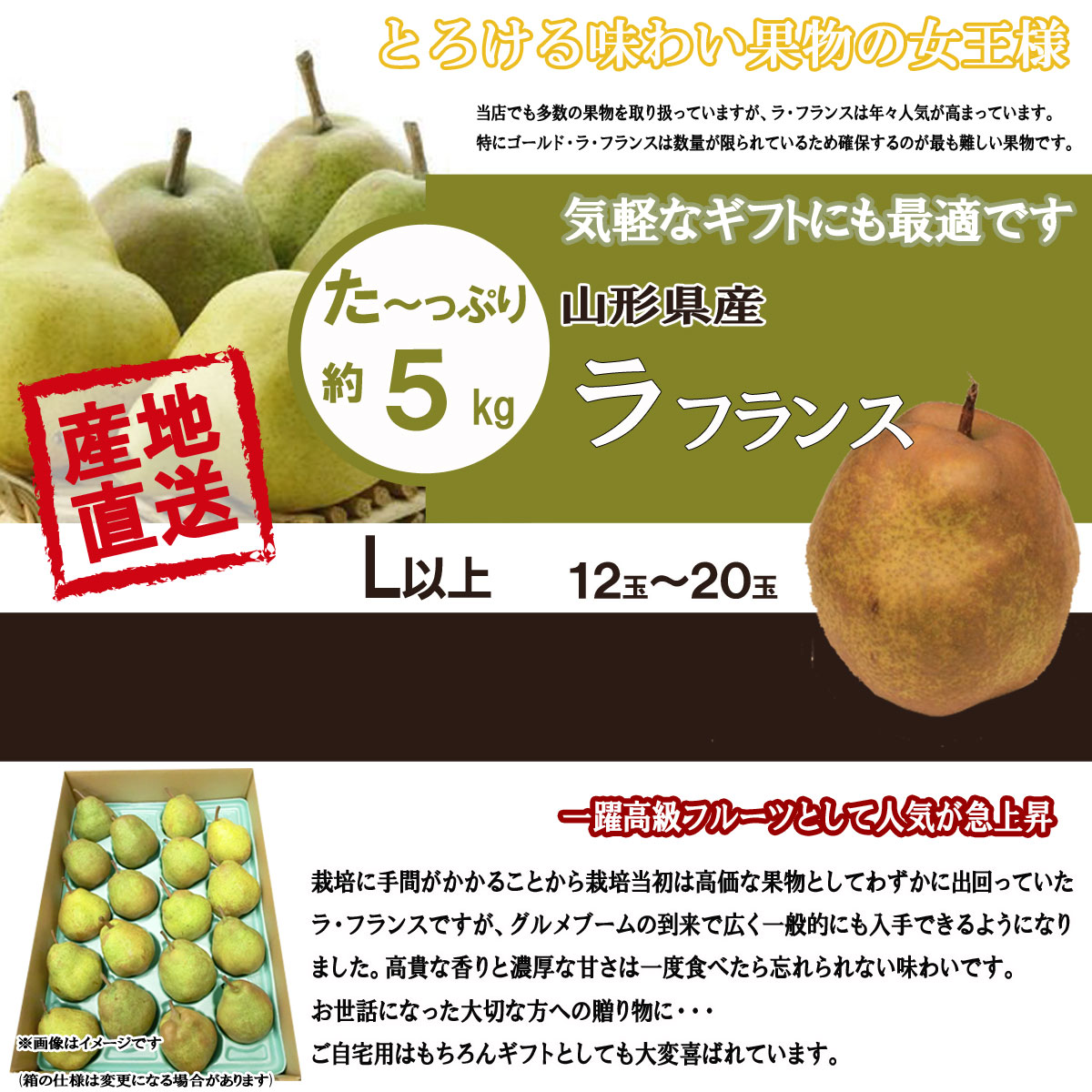 送料無料 山形県産 ラフランス ラ・フランス L サイズ 以上 約5kg 12
