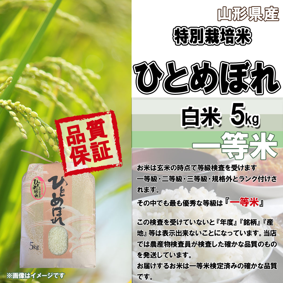 ひとめぼれ 令和6年産随時発送 令和7年産 新米 予約受付中 山形