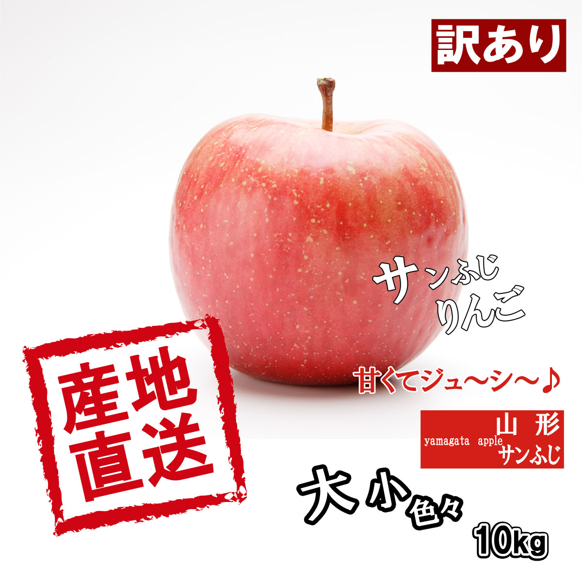訳あり サンふじ りんご 約10kg 送料無料 たっぷり てんこ盛り