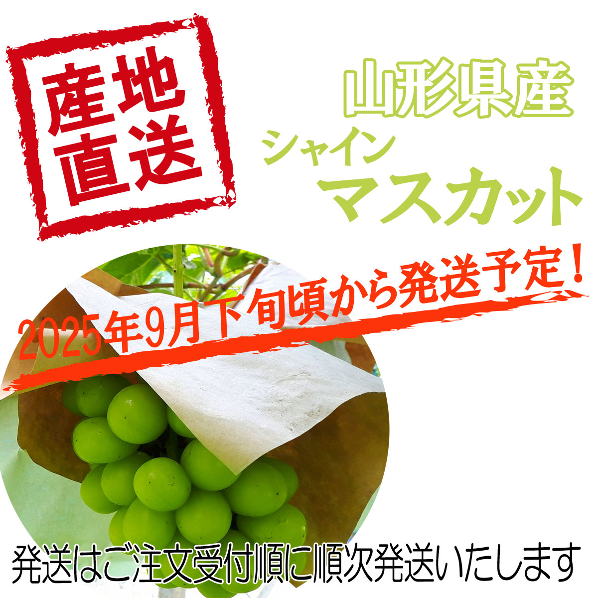 山形県産シャインマスカット600g以上×2房入り 予約 送料無料