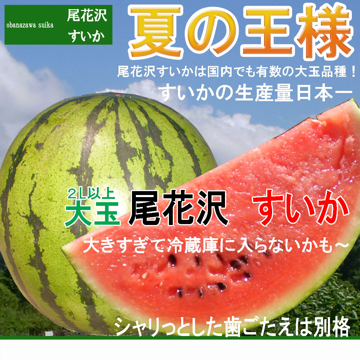 予約 送料無料 尾花沢スイカ で夏をのりきろう 山形県産 尾花沢すいか 大玉 2L 以上２玉 自慢のシャリ感 西瓜7月下旬頃より順次発送予定  :obanazawasuika-2:やまがたおいしいもの広場 - 通販 - Yahoo!ショッピング