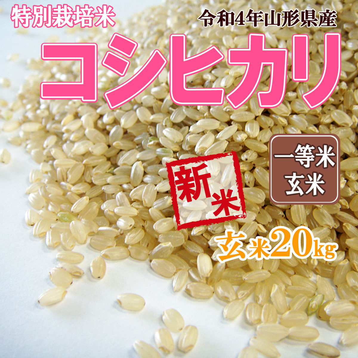 在庫得価 新米 令和1年度産 京都 丹後 コシヒカリ 玄米 30kgの通販 by