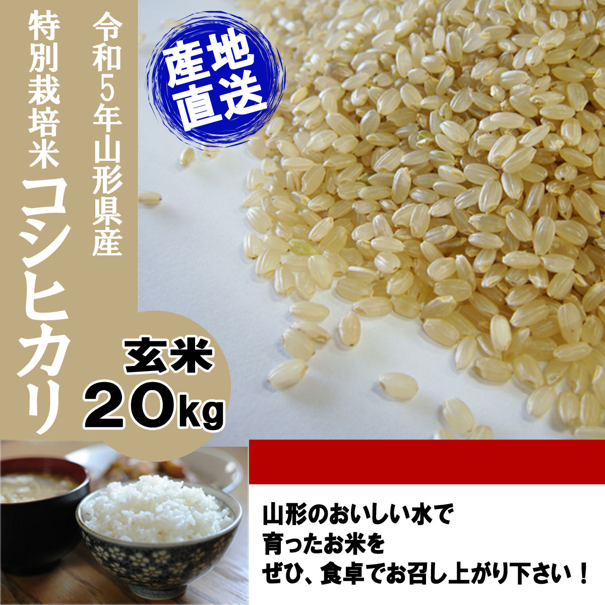 農薬不使用 有機肥料米 令和５年新米 白米１０キロ 三重県産コシヒカリ