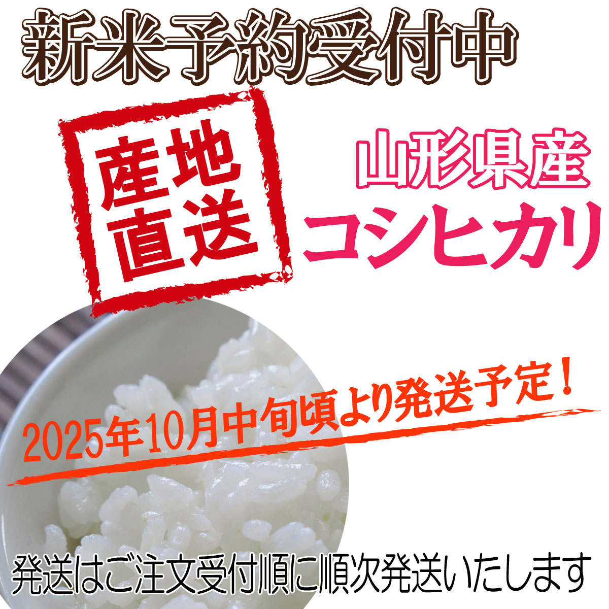 コシヒカリ 令和7年産 山形県産 新米 予約 受付中 白米 5kg 送料