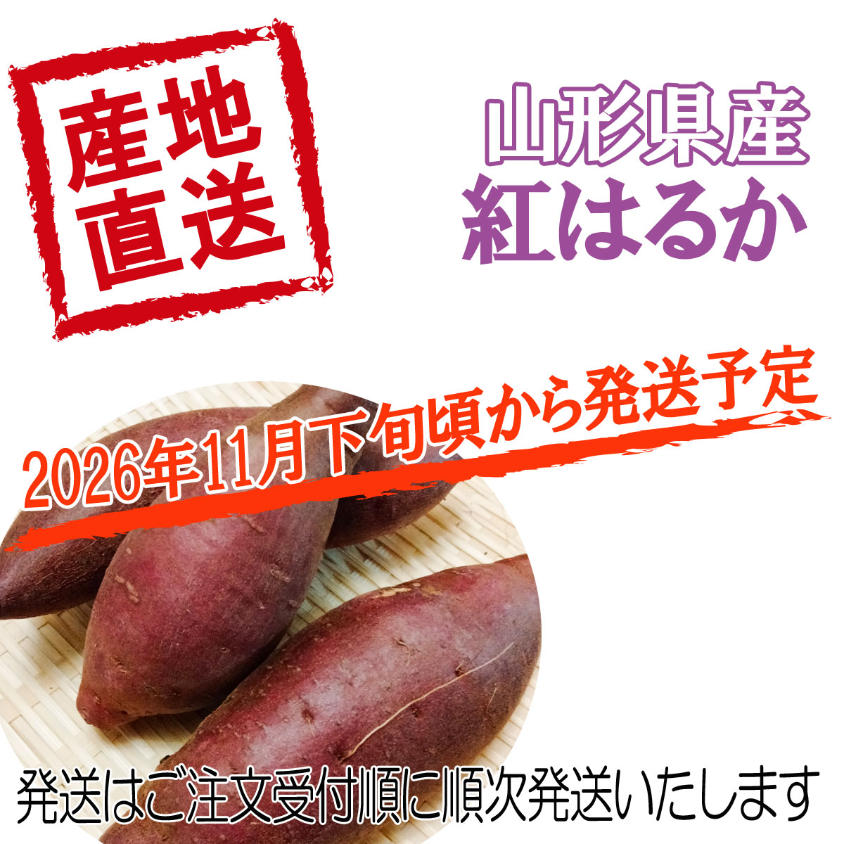 さつまいも 紅はるか 山形県 庄内産 不揃い ご家庭用 10キロ 送料無料