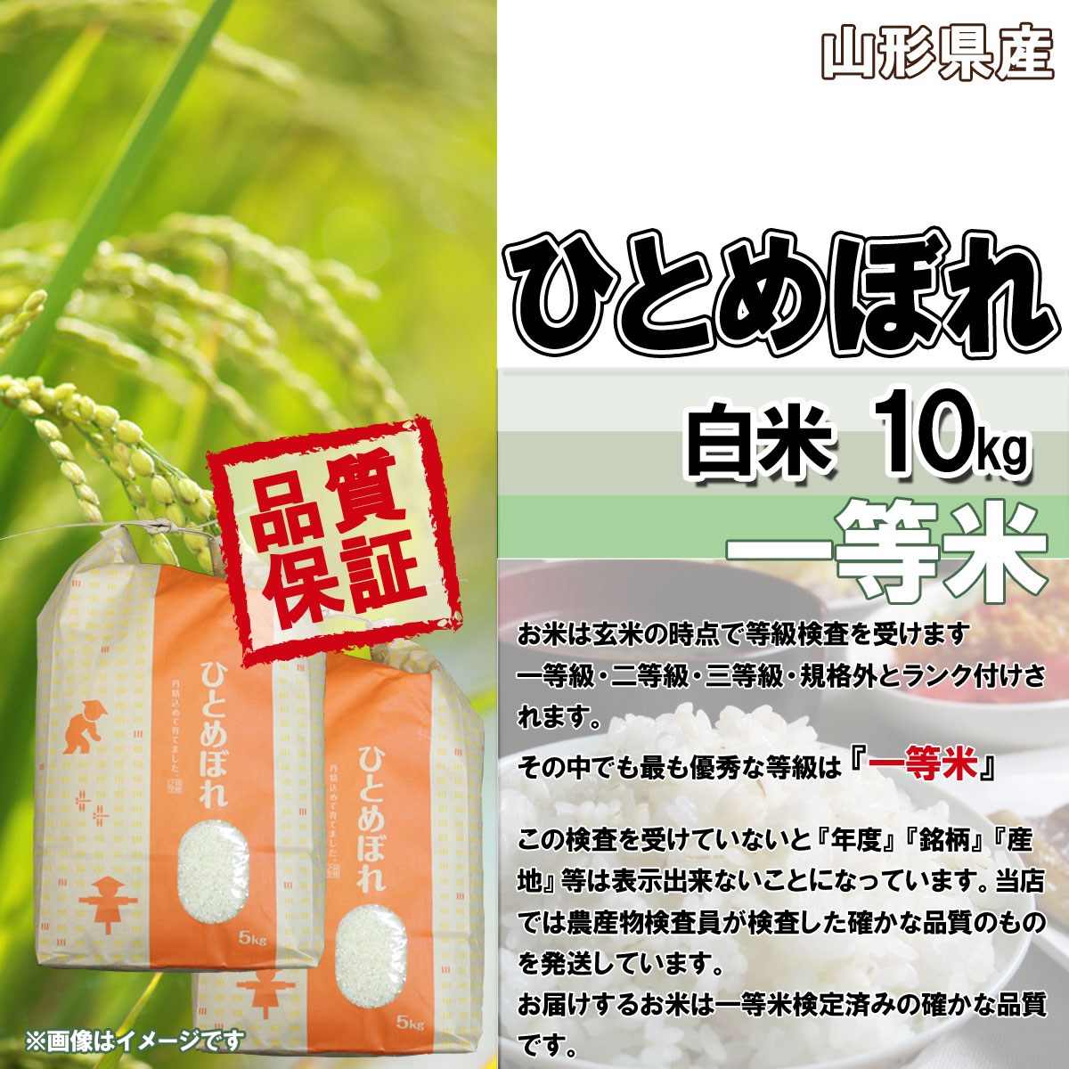 ひとめぼれ 山形県産 令和7年産 白米 5kg×2 送料無料 安全で確かなもの
