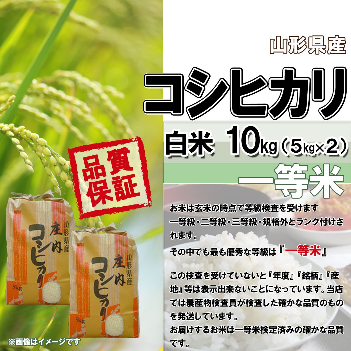 令和4年産 新米 送料無料 山形県産 コシヒカリ 白米 5kg×2 安全で確かなものを食卓へ 10キロ 十キロ お米 おこめ 10kg  :26kosi10:やまがたおいしいもの広場 - 通販 - Yahoo!ショッピング