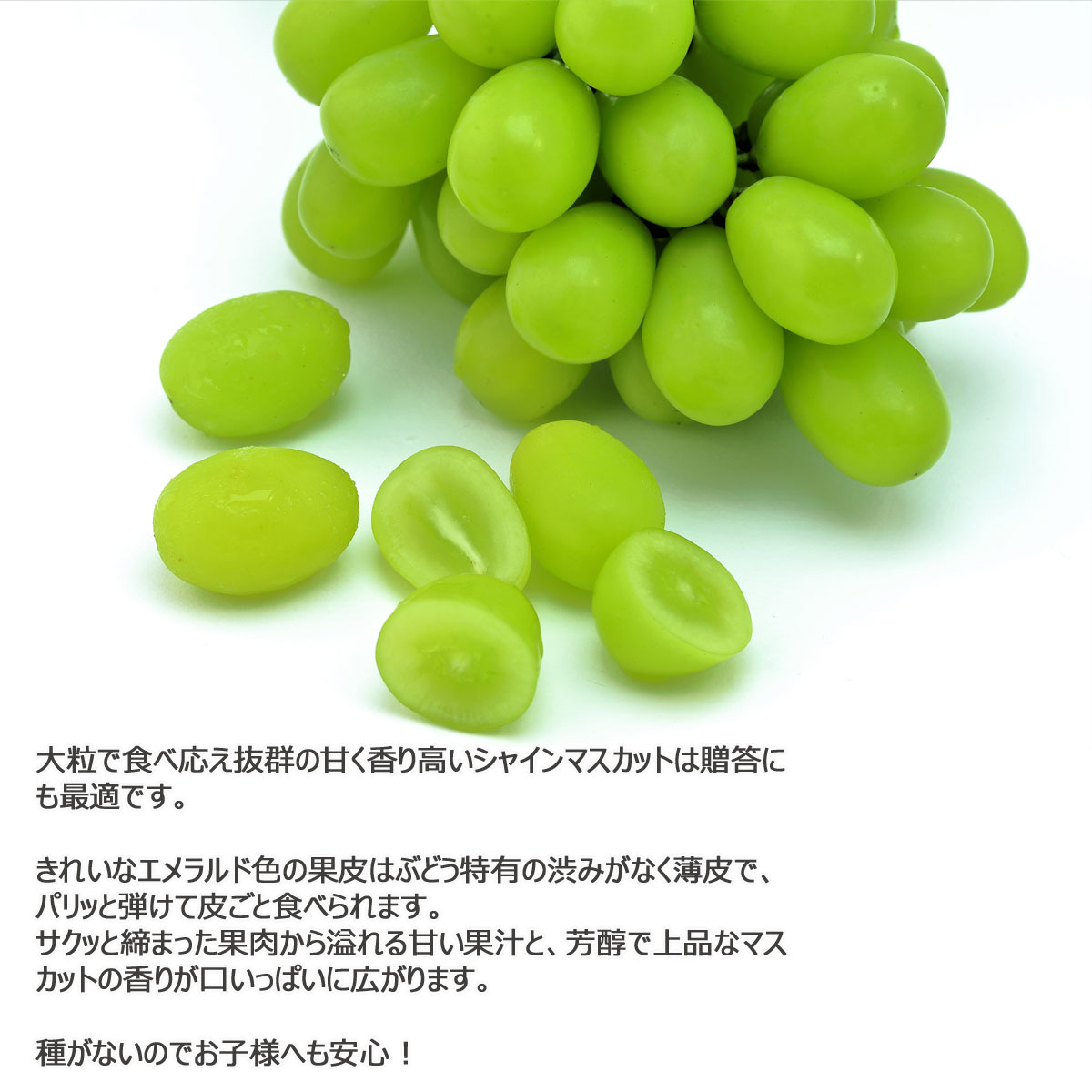 山形県産シャインマスカット600g以上×2房入り 予約 送料無料