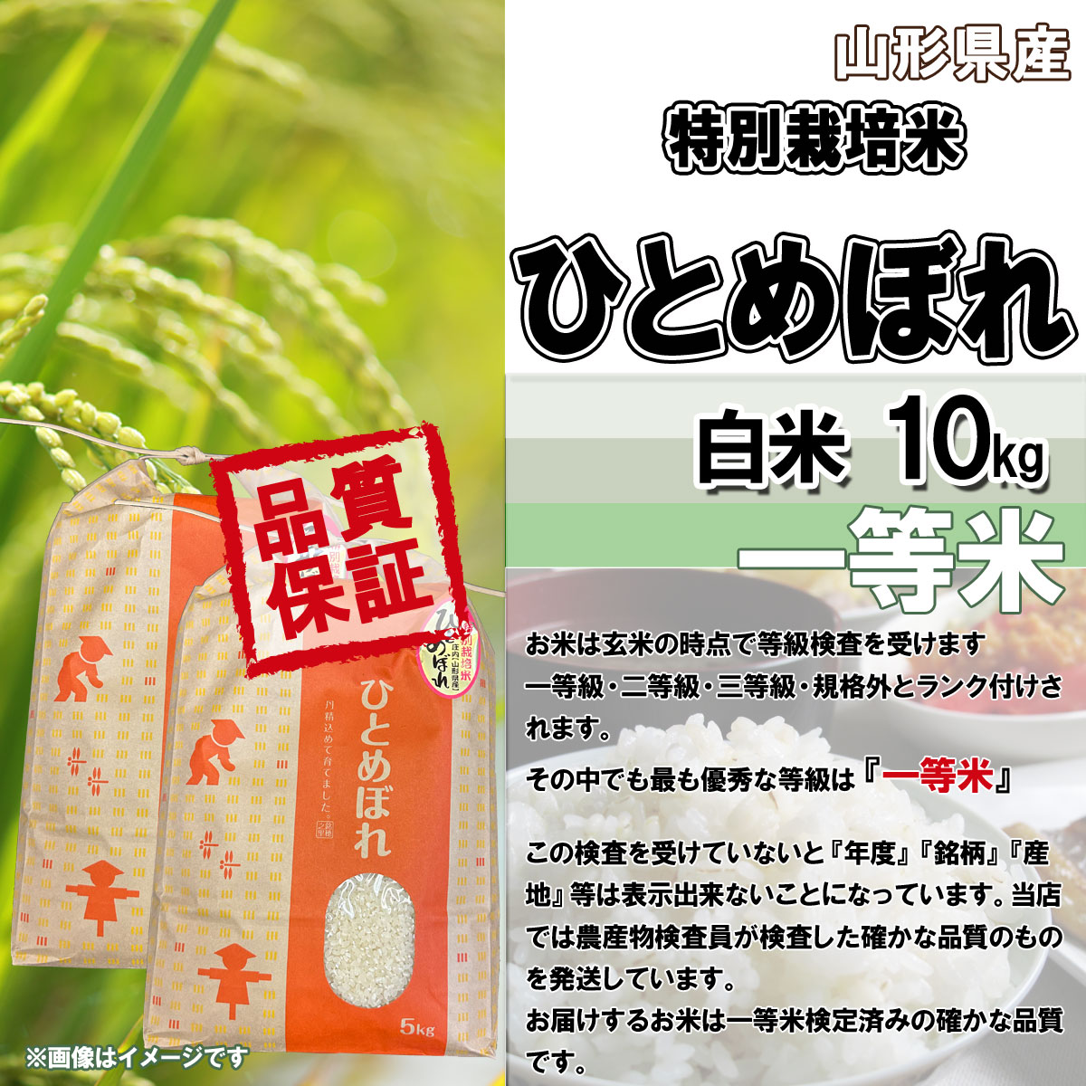 ひとめぼれ 山形県産 特別栽培米 令和7年産 白米 5kg×2 送料無料 10 
