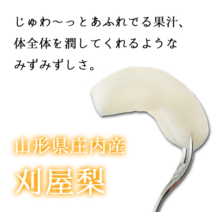 山形庄内産刈屋梨ジュワっとあふれでる果汁、体全体を潤してくれるようなみずみずしさ。
