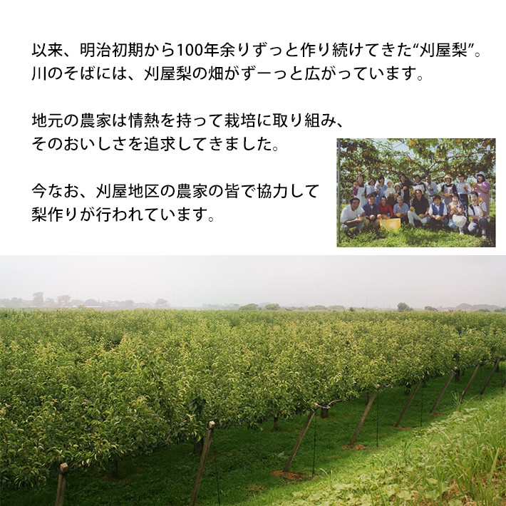 以来、明治初期から100年余りずっと作り続けてきた“刈屋梨”。川のそばには、刈屋梨の畑がずーっと広がっています。地元の人たちは情熱を持って栽培に取り組み、そのおいしさを追求してきました。