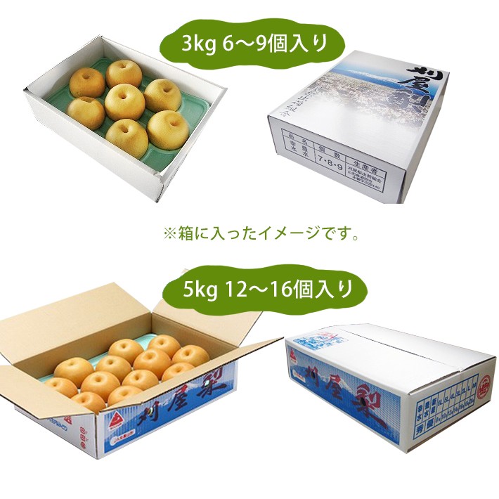 箱のサイズ