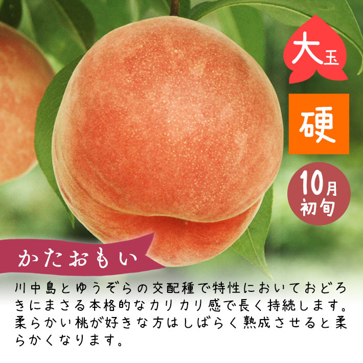 かたおもい