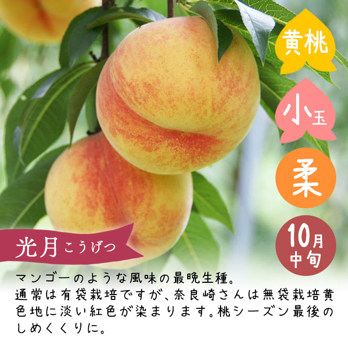 光月