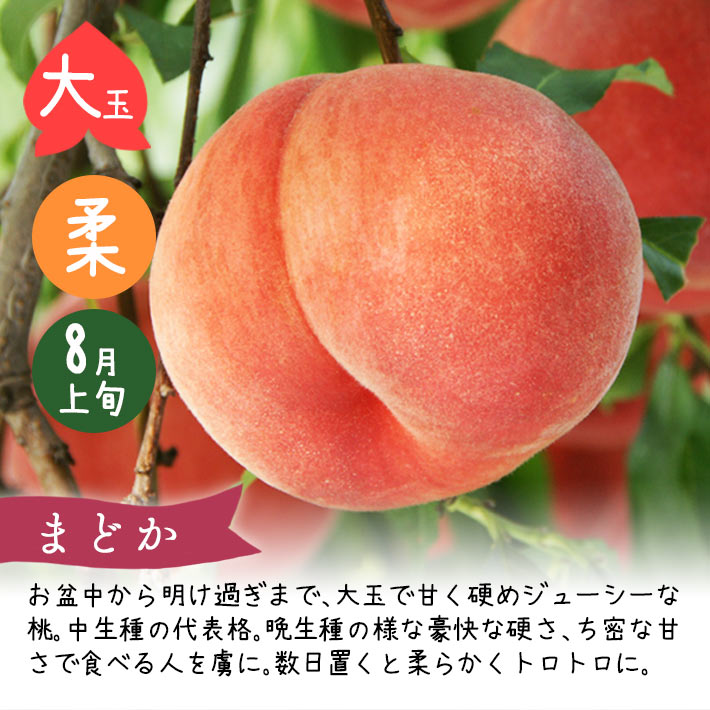 まどか