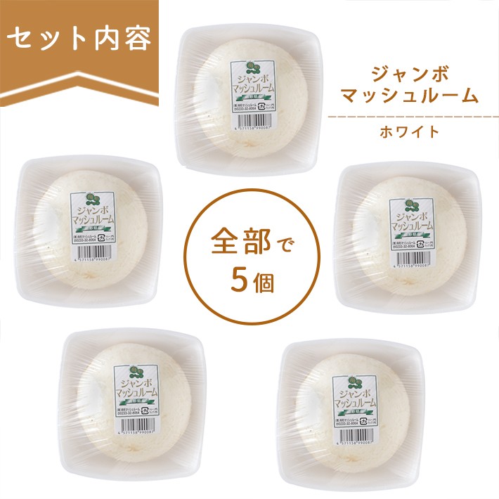 ジャンボマッシュルーム×5個