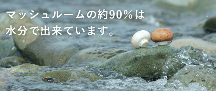 マッシュルームの約90%は水分で出来ています。
