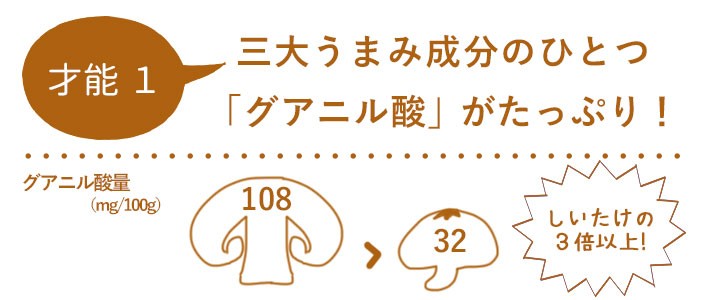 才能1■三大うまみ成分のひとつ「グアニル酸」がたっぷり!