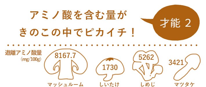 才能2 アミノ酸を含む量がきのこの中でピカイチ!