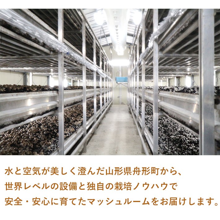 水と空気が美しく澄んだ山形県舟形町から、世界レベルの設備と独自の栽培ノウハウで安全・安心に育てたマッシュルームをお届けします。