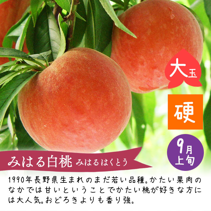 みはる