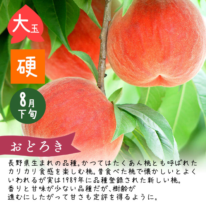 おどろき