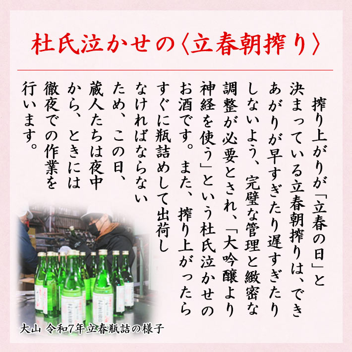 2026年2月4日入荷 立春朝搾り 山形 720ml 2本セット（大山・千代寿