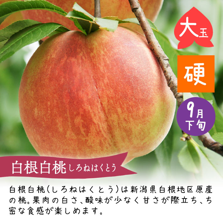 白根白桃