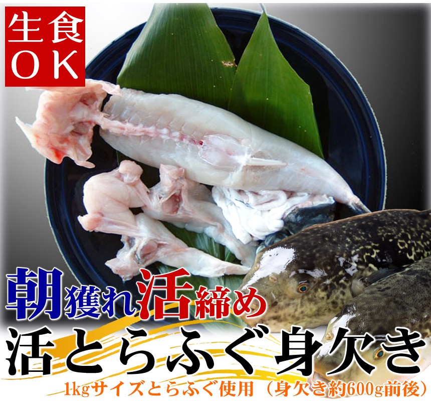 朝獲れ活締めとらふぐ身欠き（1kgサイズ国産とらふぐ使用）生食可 約600g前後 3〜4人前 ふぐ刺し ふぐ鍋 みがき