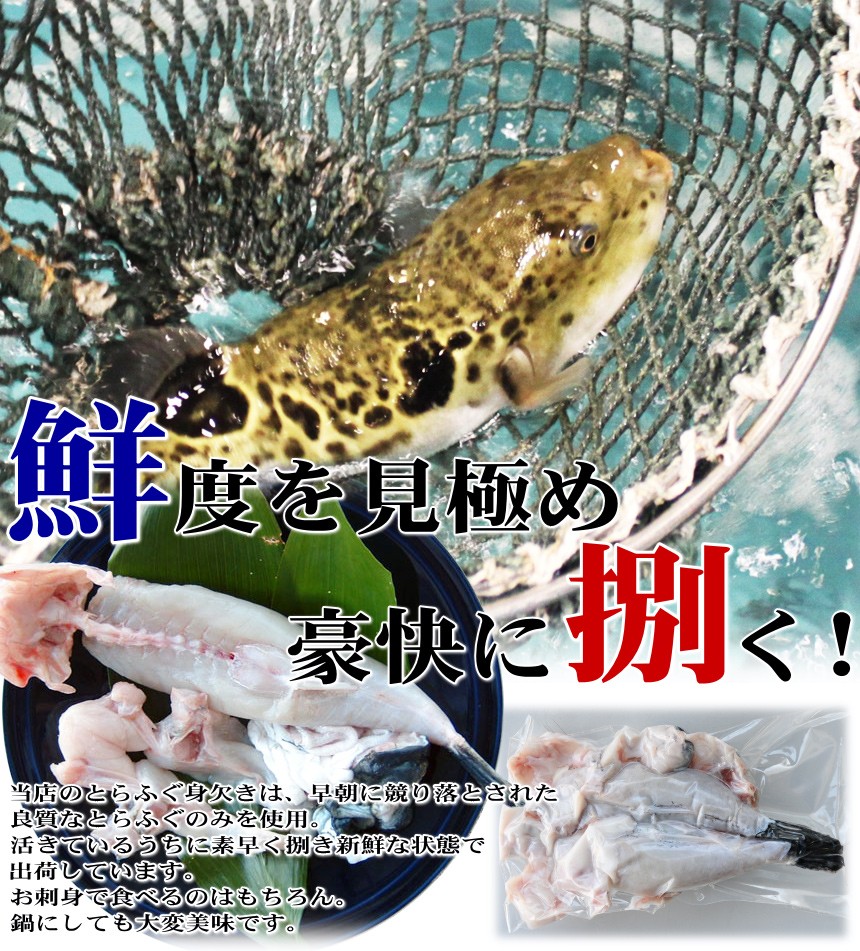 朝獲れ活締めとらふぐ身欠き（1kgサイズ国産とらふぐ使用）生食可