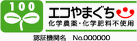 エコやまぐち100のお米と雑穀米