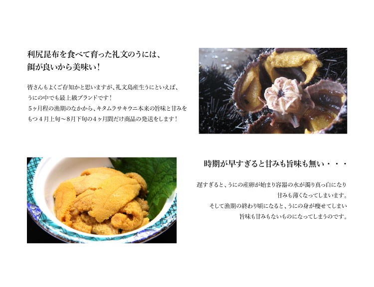 ぴよ塩水ウニ5パック 楽天市場】【ふるさと納税】【令和8年度発送先行予約】うに 塩水