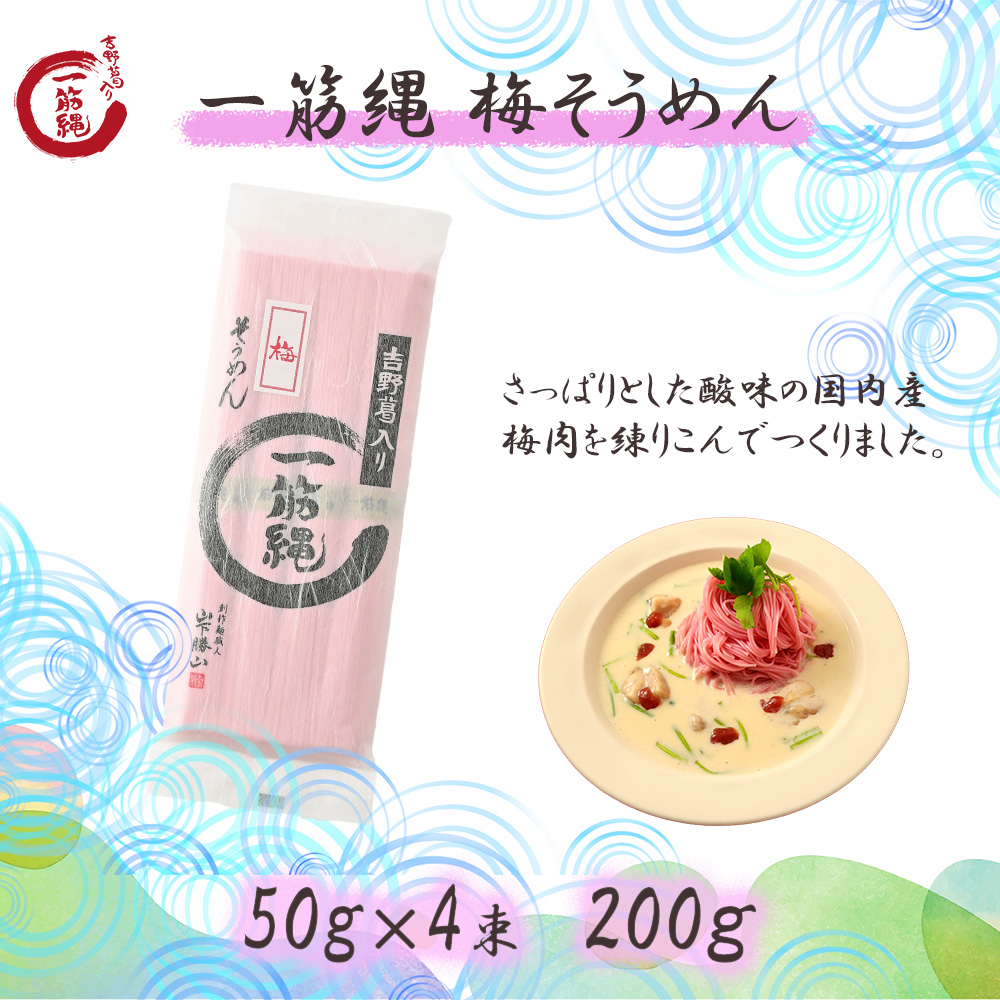 山口素麺10キロ お中元】三輪素麺 手延べやさい三輪素麺 KIK－30B: ギフト