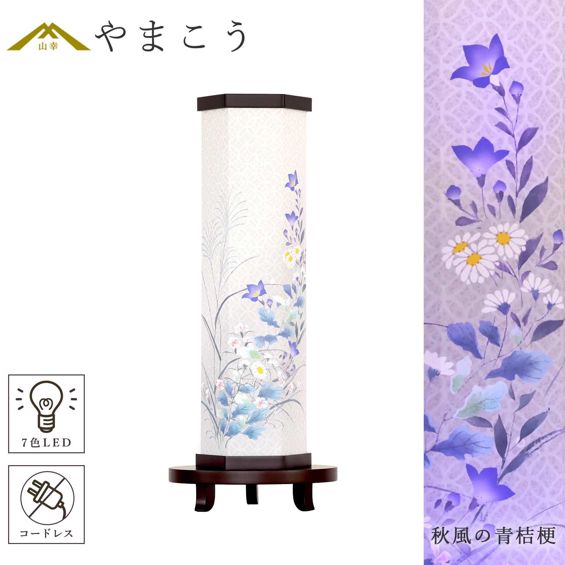 秋風の青桔梗