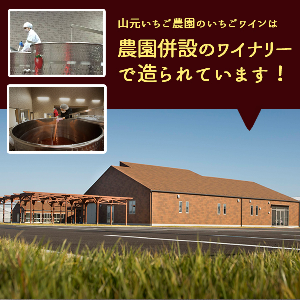 農園併設のワイナリーで醸造