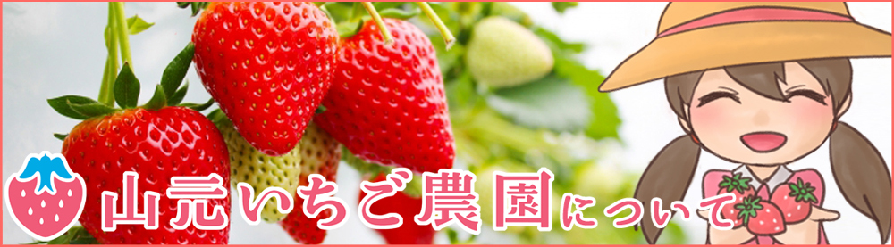 いちごあんみつ 3個セット : やまもといちご - 通販 - Yahoo