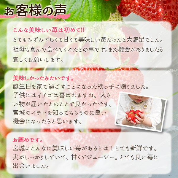 いちごのレビュー１